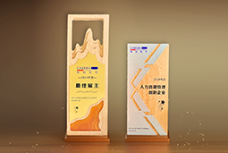 evo真人视讯国际一举斩获“2024年度中国区最佳雇主”等多项大奖