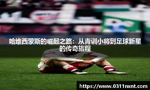 完美体育